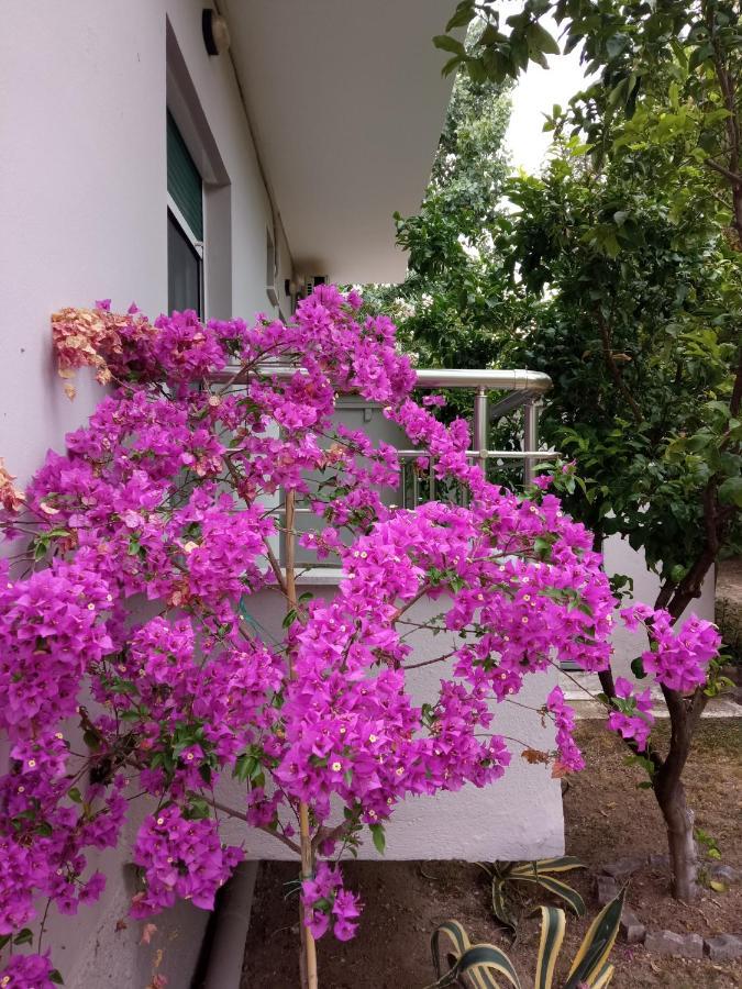 Sofia'S Garden Apartment Nea Peramos  Exterior photo